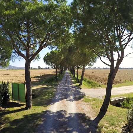Willa Terra Di Cortona Zewnętrze zdjęcie
