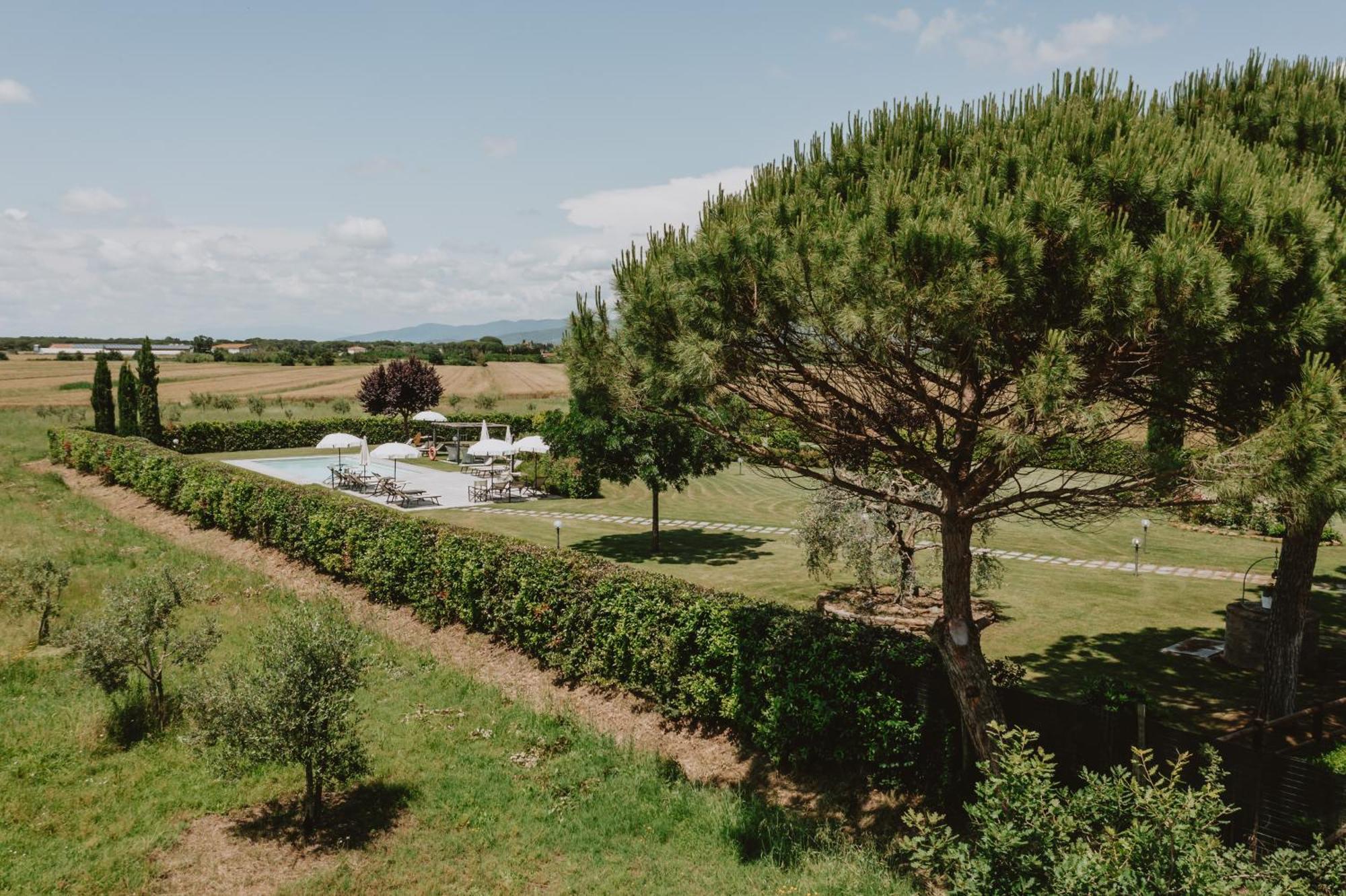 Willa Terra Di Cortona Zewnętrze zdjęcie