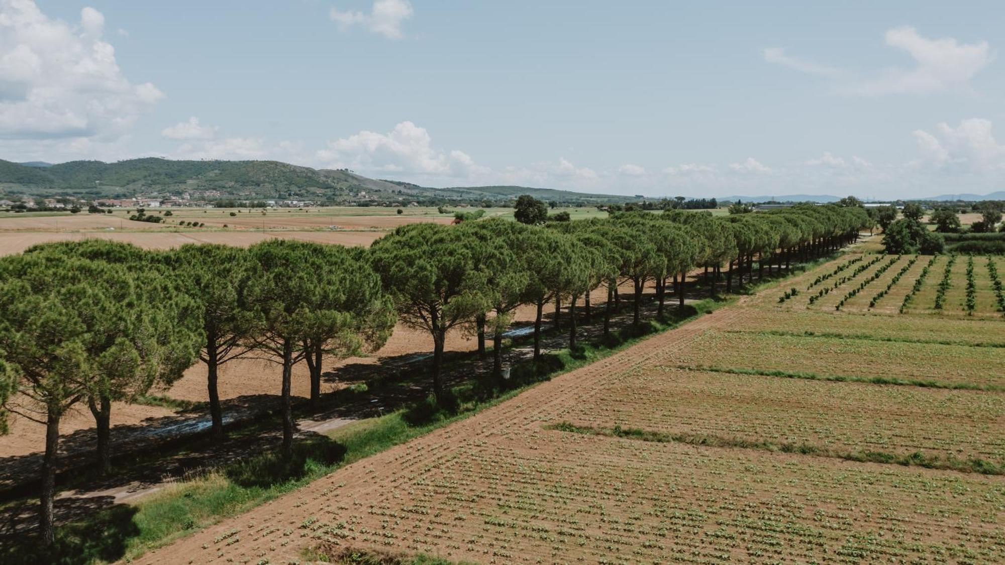 Willa Terra Di Cortona Zewnętrze zdjęcie