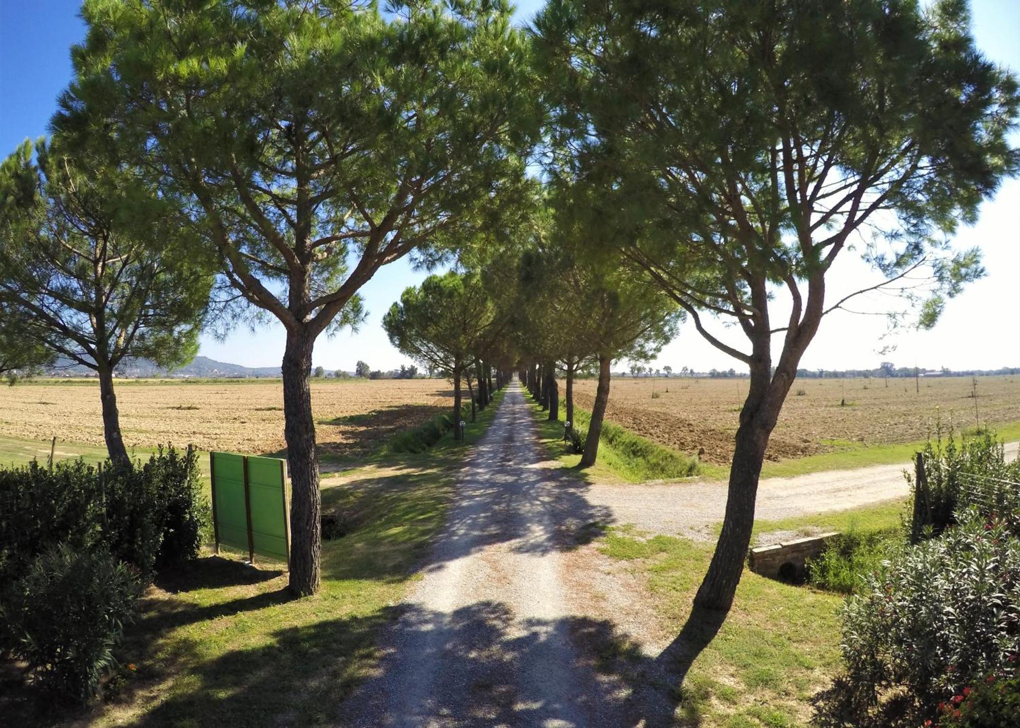 Willa Terra Di Cortona Zewnętrze zdjęcie